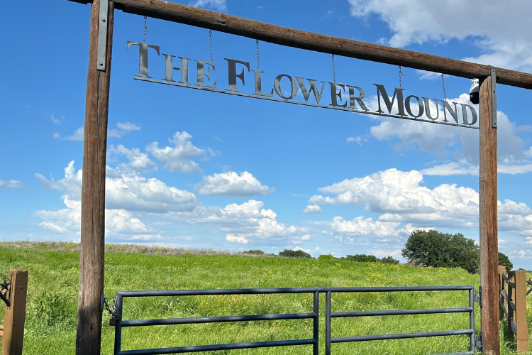 flower mound texas