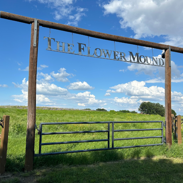 pros and cons of living in flower mound