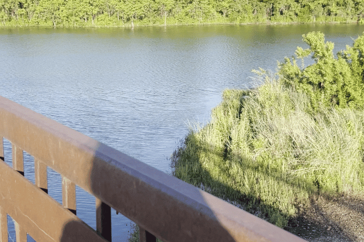 pros and cons of living in highland village texas